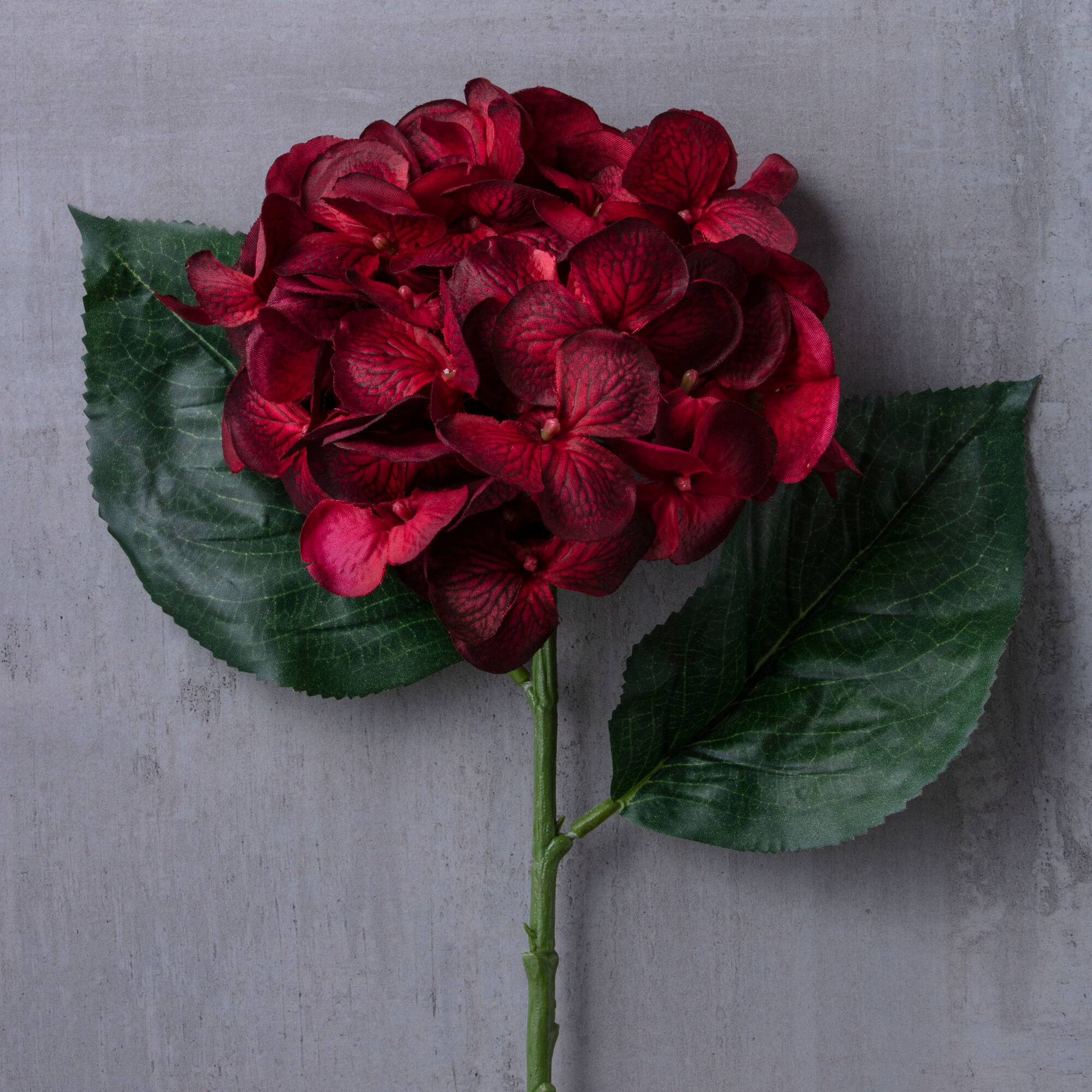 12 Pack: Burgundy Hydrangea Stem by Ashland®
